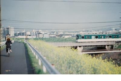 写景的优美句子要写拟人句