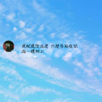 抓住男人心高级情话