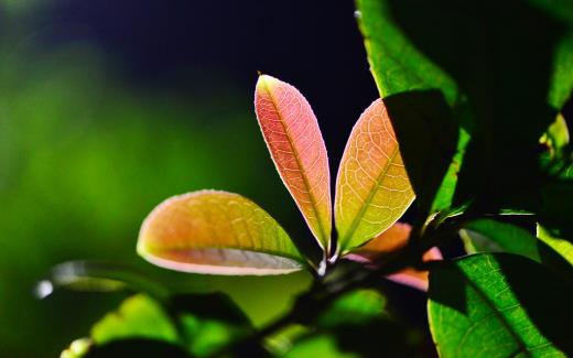 温馨生日祝福语简短