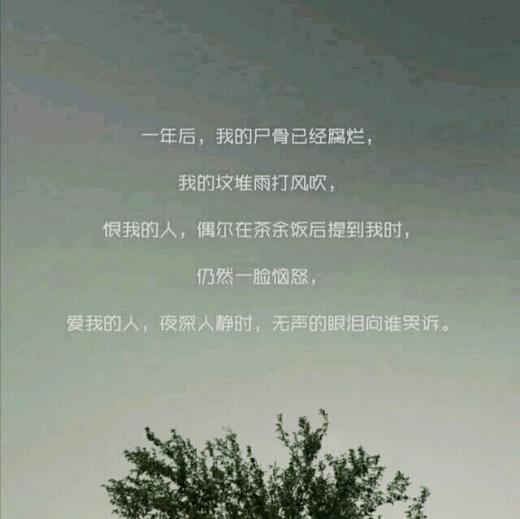 抖音励志句子简短