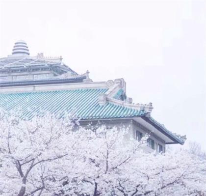 给家人新年祝福语大全