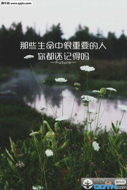 发朋友圈表示绝望的图