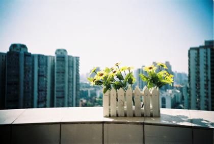 对情人情人节祝福语男(七夕情人节鲜花祝福语)