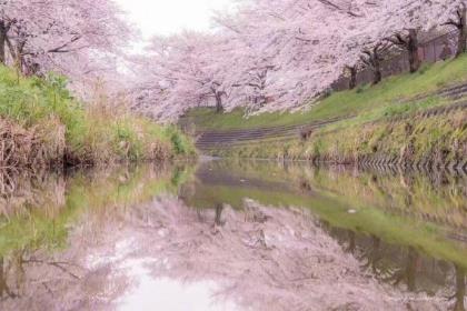 用雨写排比句