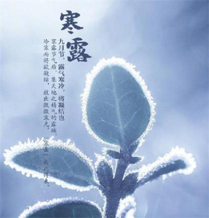 祝闺蜜18岁的祝福语