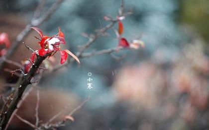 晚安短信最温馨的话语