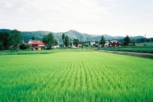 光电学院的运动会口号