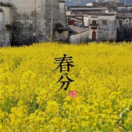 形容女人酒醉的句子