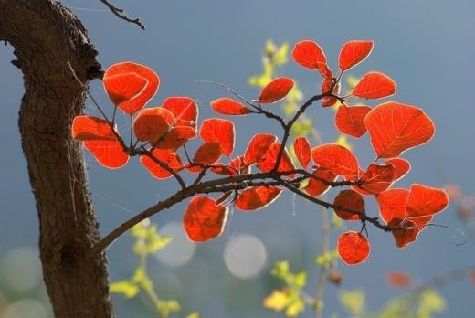 节能减排宣传口号