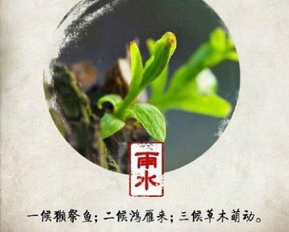 桃花开了改为拟人句