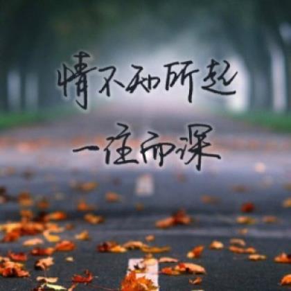 关于老师的优美语段摘抄