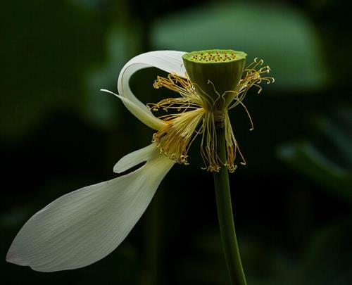 10月10日朋友圈