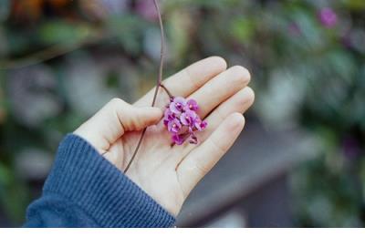 10月1日朋友圈怎么发