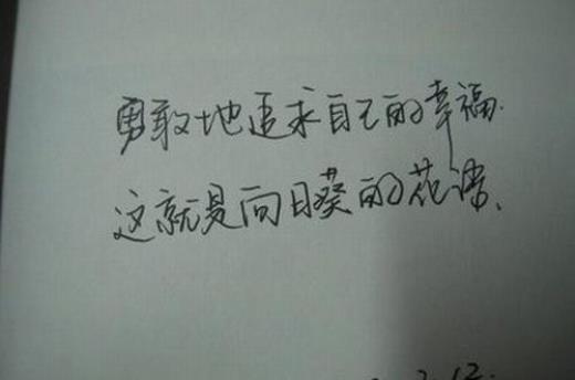 教师廉洁从教格言