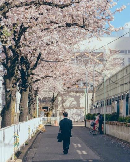 五一劳动节年度最火祝福寄语大全