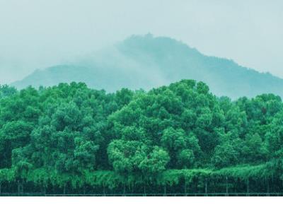 表达心情无奈的句子