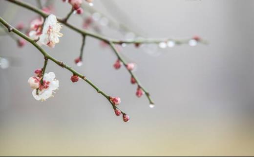 雪景句子唯美简短