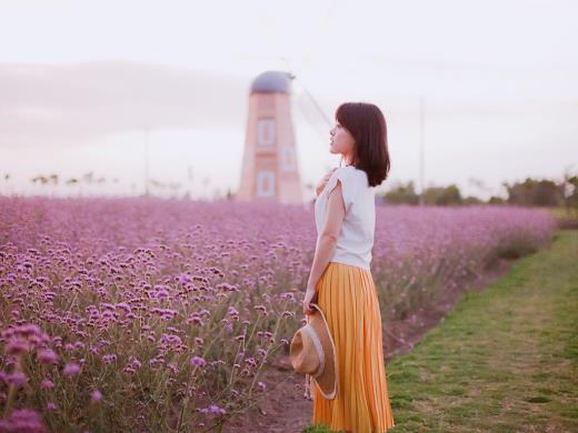 本年春节祝福