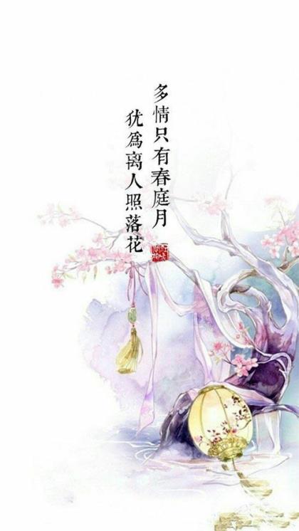 祝阿姨生日祝福语大全