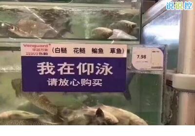 关于哲理的名言