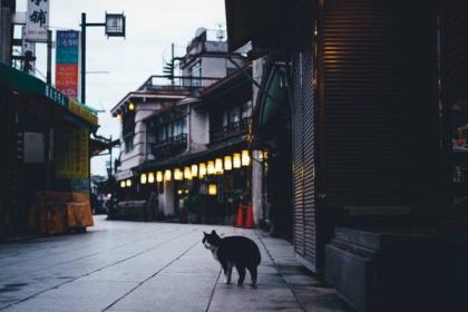 夜晚朋友圈正能量说说