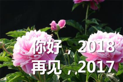 2023年送给女朋友的生日情话