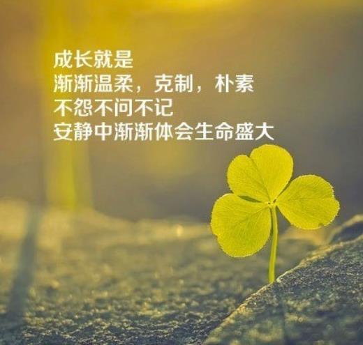 晚安的精辟句子短句